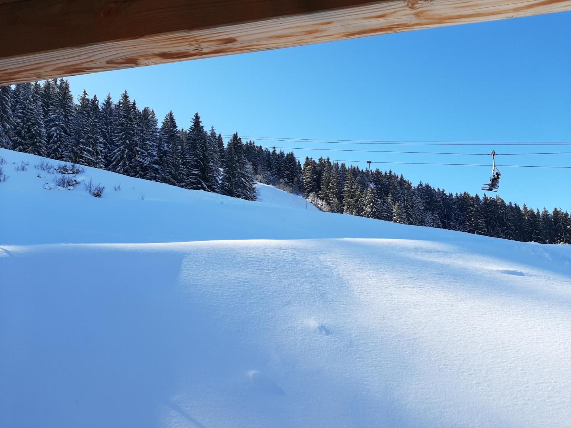 Les 7 Laux Immobilier Chalet F Prapoutel Exterior foto